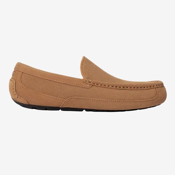 UGG Men's Ascot Slipper