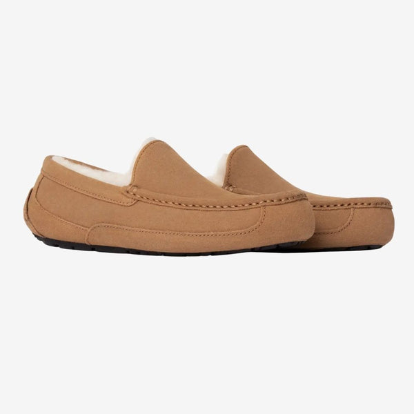 UGG Men's Ascot Slipper