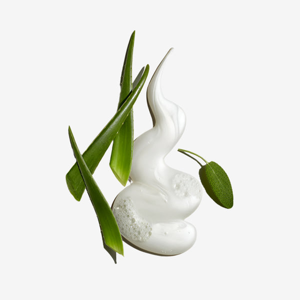 Pure Clean Daily Facial Cleanser