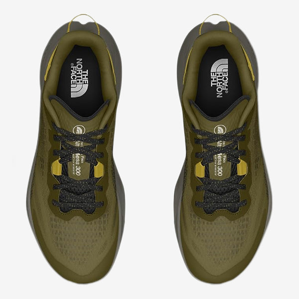 The North Face Men’s Altamesa 300 Shoes