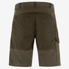 Men's Abisko Shorts