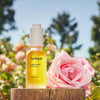 Rare Rose Face Oil - USTRADA