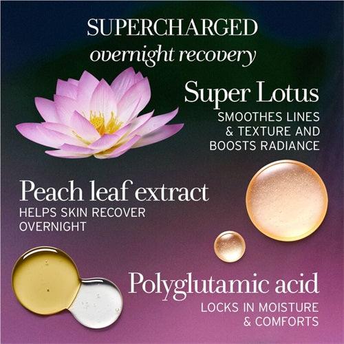 Lotus Youth Preserve Radiance Renewal Night Cream - USTRADA