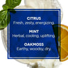 All-Over Wash for Face, Hair & Body