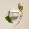 Radiance Antioxidant Eye Cream - USTRADA